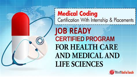 Best Medical Coding And Billing Schools