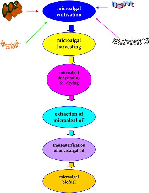 Optimalization Of Extraction Conditions For Increasing Microalgal Lipid