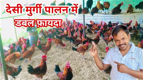 Poultry Farm Business Plan Desi Murgi Farm Kaise