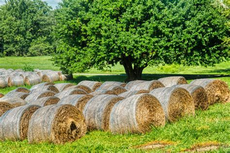 Photo of the Week: Making Hay - Chadds Ford Live