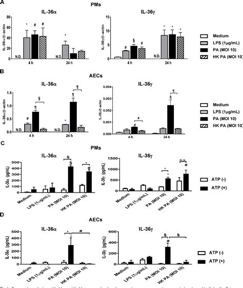 Figure 1 From Interleukin 36γ And Il 36 Receptor Signaling Mediate Impaired Host Immunity And