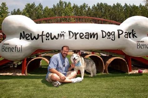 Best Dog Parks All Around The World A Complete Dog Paradise