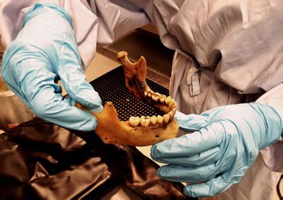 What is forensic dentistry? | News | Dentagama