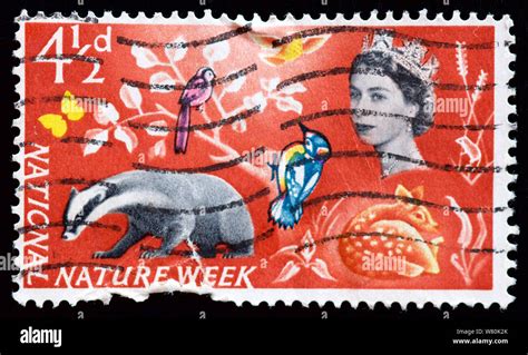 Great Britain Postage Stamp National Nature Week Stock Photo Alamy