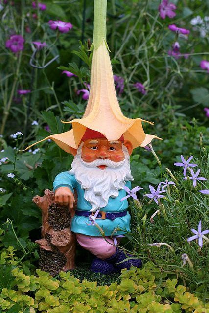 298 best Garden Gnomes images on Pinterest