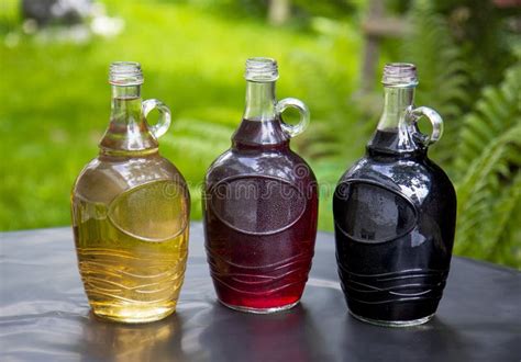 Bottles Of Different Types Of Wine Stock Photo Image Of Fresh Freeze