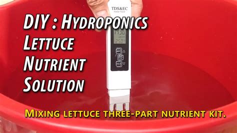 DIY Hydroponic Lettuce How To Mix Nutrient Solution Measure EC PH