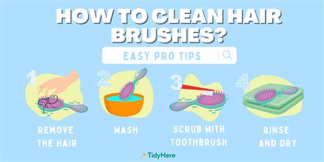 How To Clean Hair Brushes Tidyhere