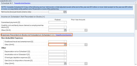 Entering Nondeductible Expenses On Form In Lacerte