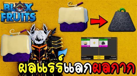 Blox Fruits เอาผลแรร์หายากไปแลกผลกากๆ 5 ผลสุดแรร์ ผลเสือ ผลมังกร ผลโมจิ Youtube