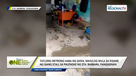 One North Central Luzon 3 Metrong Haba Ng Sawa Nahulog Mula Sa Kisame