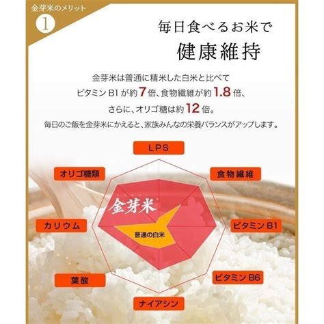 新米 金芽米 無洗米 令和4年産 長野県産 コシヒカリ 10kg 5kg×2袋 送料無料 きんめまい 米 コメ おこめ ごはん 【日本産】