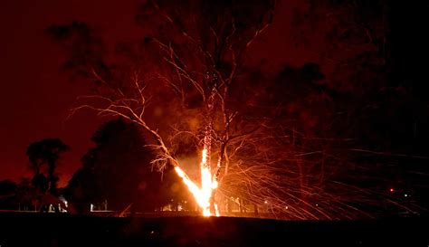 Foto Kebakaran Hutan Di Australia Kian Membara Foto Liputan