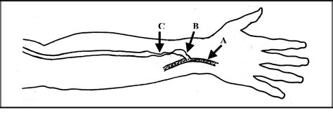 Figure 3 From A Practitioner S Resource Guide To Physical Examination