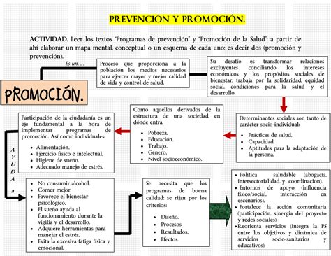 Prevenci N Y Promoci N De La Salud En La Actualidad Esquema Con Sus