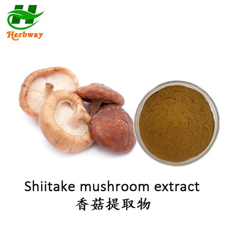 Herbway Kosher Halal Fssc Haccp Certified Shiitake Mushroom Powder