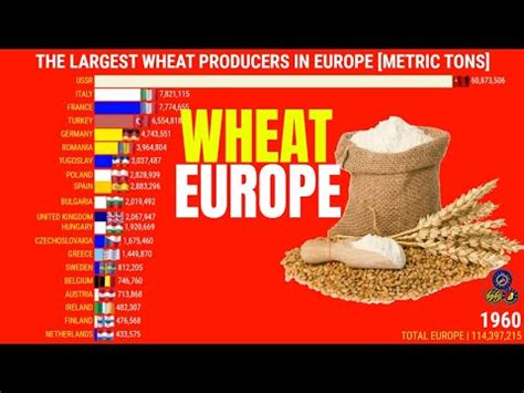 OS MAIORES PRODUTORES DE TRIGO DA EUROPA Geografia Total