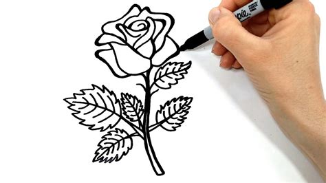 Como Dibujar Una Rosa FÁcil Y Bonita Youtube