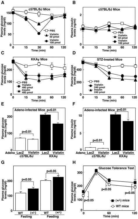 Visfatin A Protein Secreted By Visceral Fat That Mimics The Effects Of