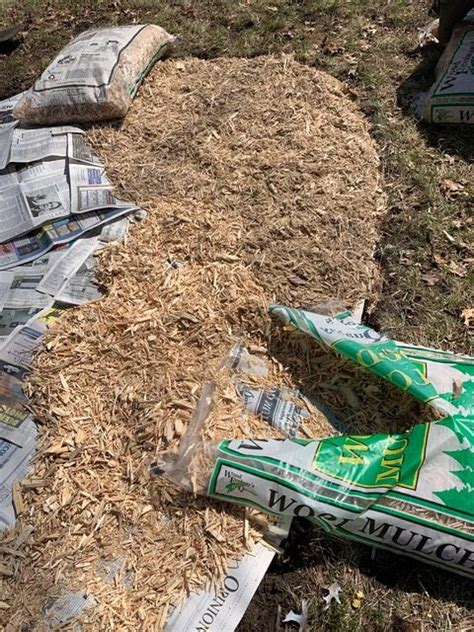 Newspaper And Shredded Mulch By Cheryl Gross Mganm Master Gardener