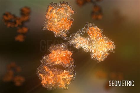 Geometric Medical Animation Monoclonal Antibody Therapy Flickr