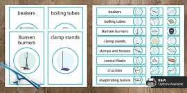 Display Poster For The Scientific Method Lesson Plan