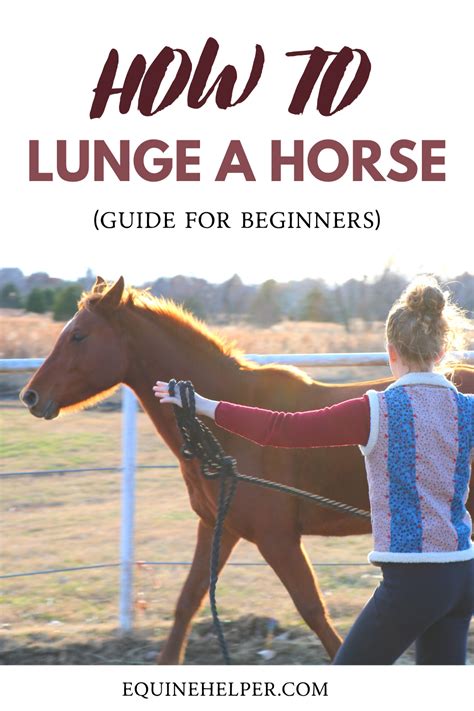 How To Lunge A Horse Horse Training Trail Riding Horses Horses