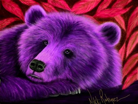 Resting Bear Face Nikki Rodriguez Fine Art Drawings Illustration