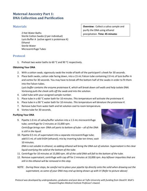 Lysis Buffer Recipe Proteinase K Bryont Blog