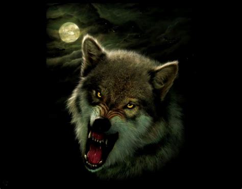 Angry Wolf Wallpapers Top Free Angry Wolf Backgrounds Wallpaperaccess