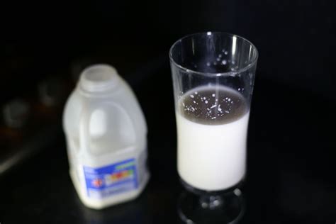 Drinking Milk Made Ancient Humans Heavier And Taller Study Finds The