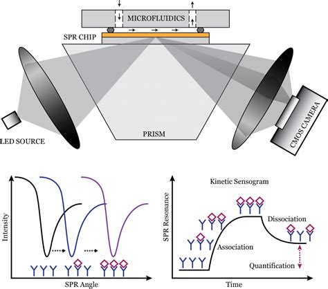 Surface Plasmon Resonance Technology Angular Spectral Electro Chemical Spr Sensing