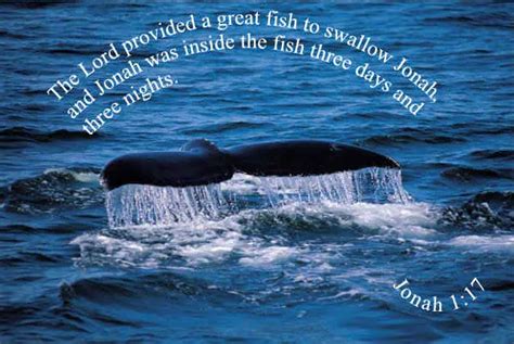 Jonah And The Big Fish Memory Verse Wallpaper