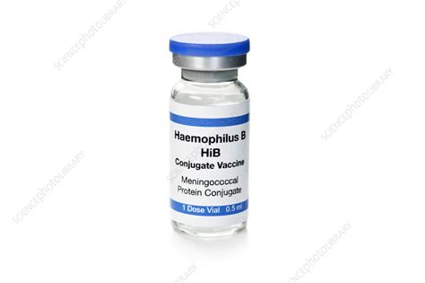 Haemophilus B vaccine - Stock Image - F035/9661 - Science Photo Library