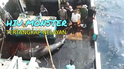 Hiu Monster Tertangkap Nelayan Youtube