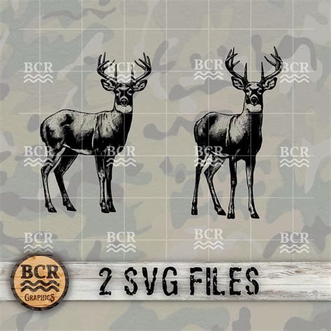 Big Buck Svg Whitetail Deer Svg Big Buck Digital Download Deer Hunting Hunting Svg