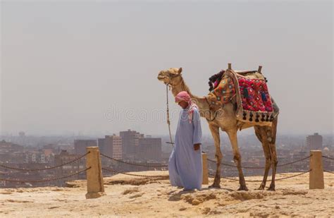 IL CAIRO EGITTO 22 MAGGIO 2017 Uomo Arabo Che Guida Cammello Al