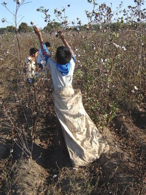 Bolivias Bill To Ban Child Labor Is Opposed By Child Workers