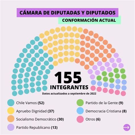 ¿cómo Se Componen Las Fuerzas Políticas En El Senado Y La Cámara De