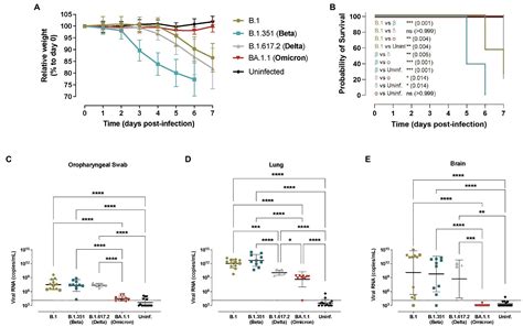 Frontiers Heterogeneous Infectivity And Pathogenesis Of Sars Cov