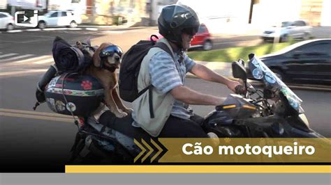 Cachorro Viaja Na Garupa Da Moto Do Tutor E Juntos J Passaram Por