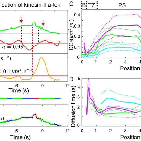 Single-molecule tracking and analysis with MSD. (A) Representative ... 