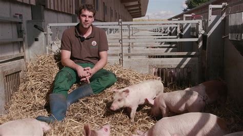 Bio Landwirt Statt Studium Mediathek Wdr