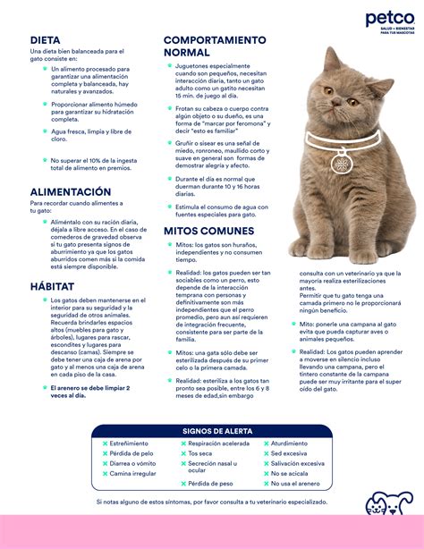 Gu A De Cuidado Para Gatos Blog Petco M Xico