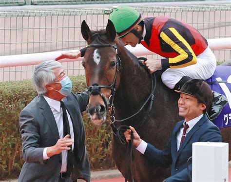 【マイルcs】ルメール「本当のグランアレグリアでした」次元の違う末脚ラストラン：中日スポーツ・東京中日スポーツ