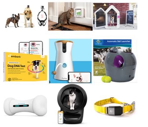 Pet Tech Devices That Make Your Life Easier.