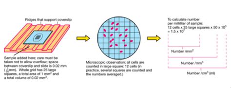 Lecture 8 Microbial Growth And Nutrition Part 1 Tuberculosis