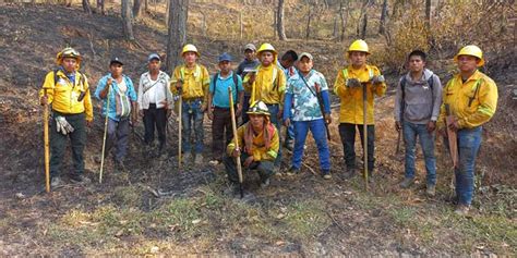 Liquidados cuatro incendios forestales en la Sierra de Juárez y Mixteca