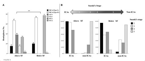 Figure From Analyzing Characteristics Of Collateral Flow To