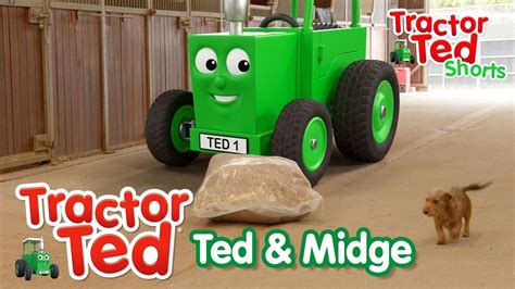 Ted And Midge Are Friends On The Farm 🐶 Tractor Ted Shorts Tractor